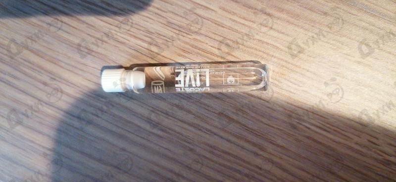 Купить Lacoste Live Купить Live от Lacoste