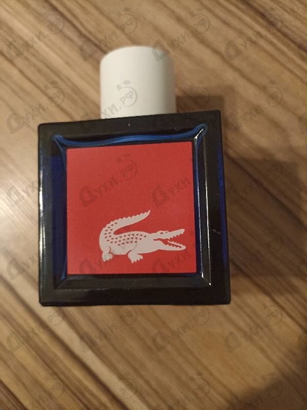 Купить Live от Lacoste