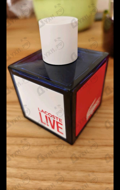 Отзывы Lacoste Live