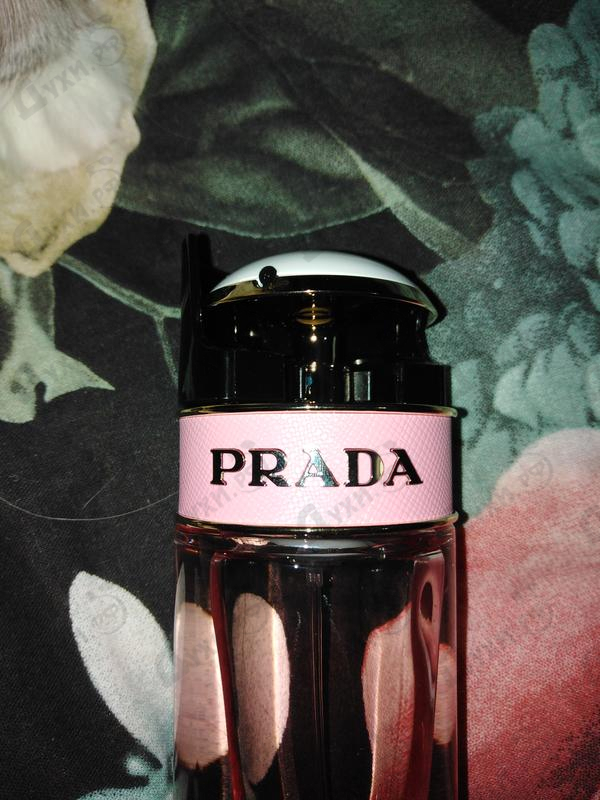 Купить Candy Florale от Prada