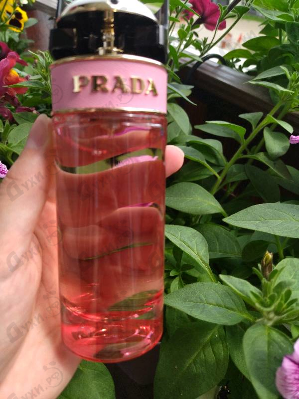 Купить Candy Florale от Prada