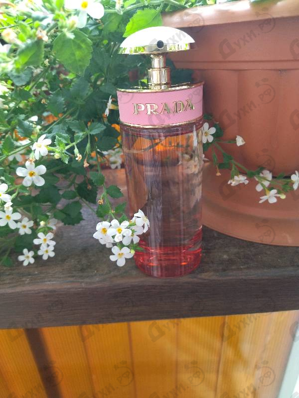 Парфюмерия Candy Florale от Prada