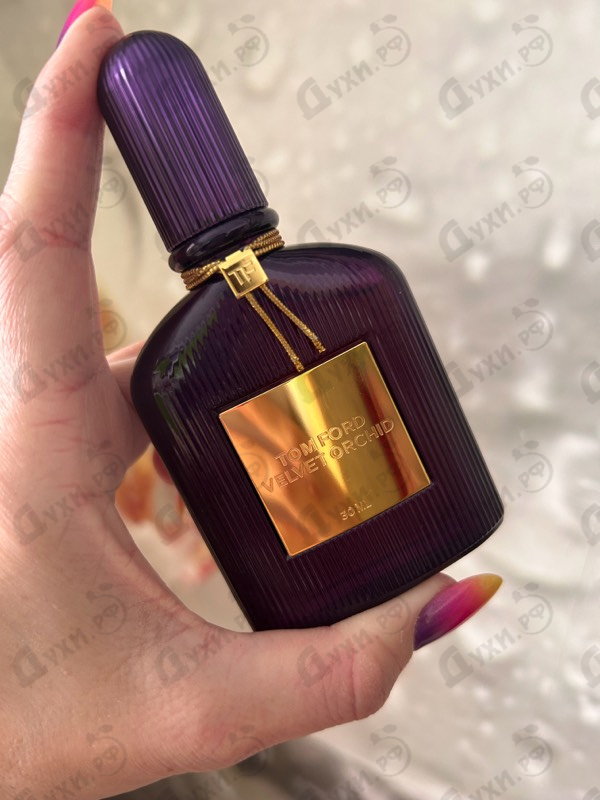 Отзывы Tom Ford Velvet Orchid