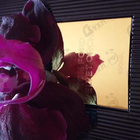 Духи Velvet Orchid от Tom Ford