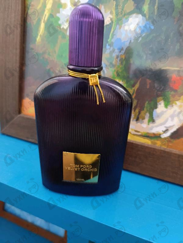 Отзыв Tom Ford Velvet Orchid