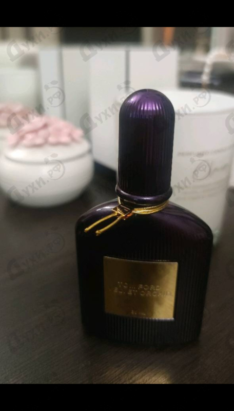Парфюмерия Velvet Orchid от Tom Ford