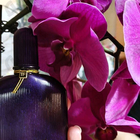 Духи Velvet Orchid от Tom Ford