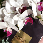 Парфюм Tom Ford Velvet Orchid
