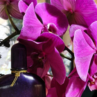 Отзыв Tom Ford Velvet Orchid