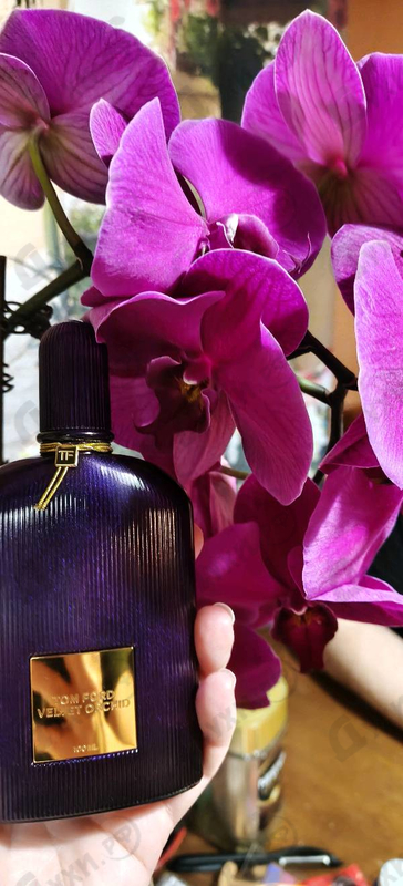 Парфюмерия Velvet Orchid от Tom Ford