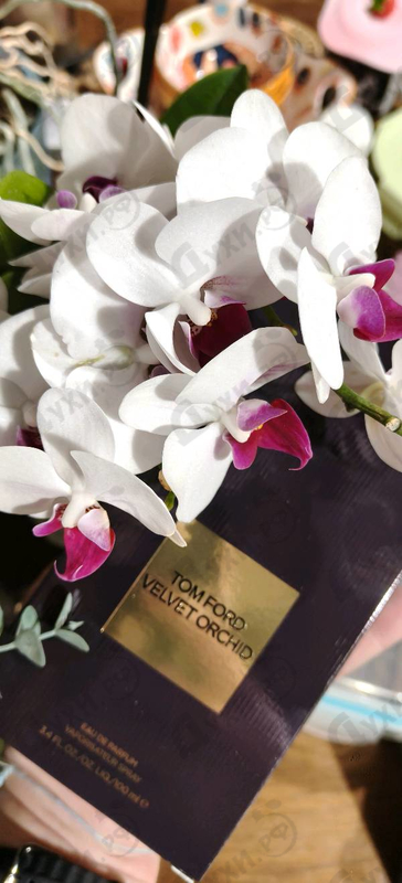 Парфюмерия Velvet Orchid от Tom Ford
