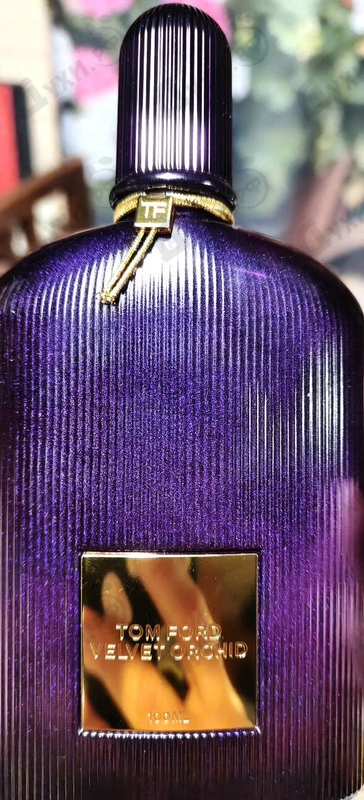 Купить Tom Ford Velvet Orchid