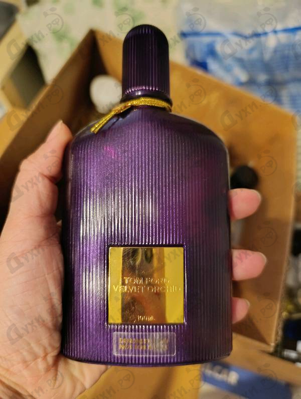 Отзывы Tom Ford Velvet Orchid