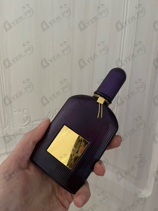 Купить Velvet Orchid от Tom Ford