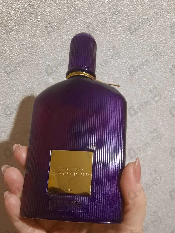 Купить Velvet Orchid от Tom Ford