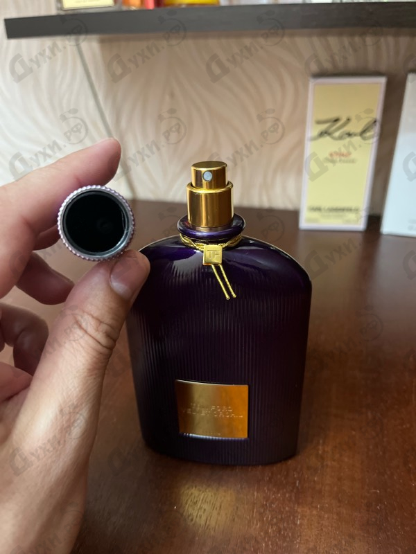 Отзывы Tom Ford Velvet Orchid
