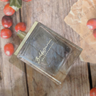 Отзывы Hugo Boss Baldessarini Nautic Spirit