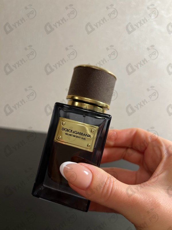 Отзыв Dolce & Gabbana Velvet Desert Oud