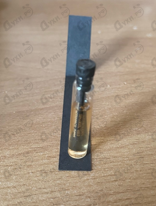 Купить Velvet Desert Oud от Dolce & Gabbana