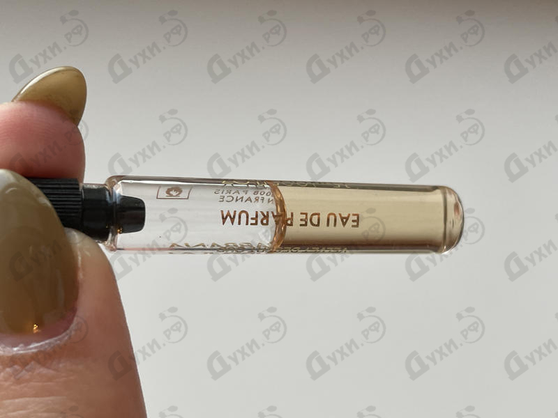 Отзыв Dolce & Gabbana Velvet Desert Oud Купить Velvet Desert Oud от Dolce & Gabbana