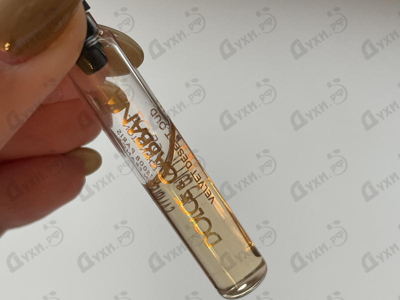 Купить Velvet Desert Oud от Dolce & Gabbana Отзывы Dolce & Gabbana Velvet Desert Oud