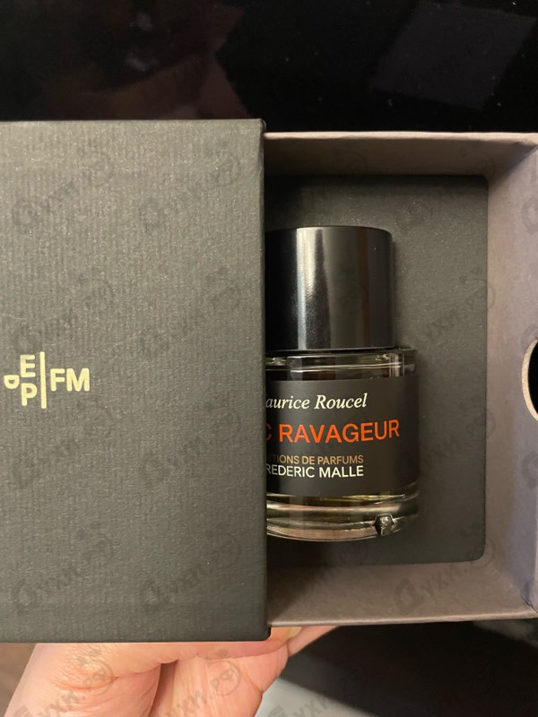 Отзывы Frederic Malle Musc Ravageur