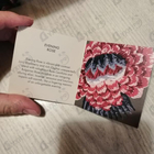 Духи Aerin Evening Rose от Estee Lauder