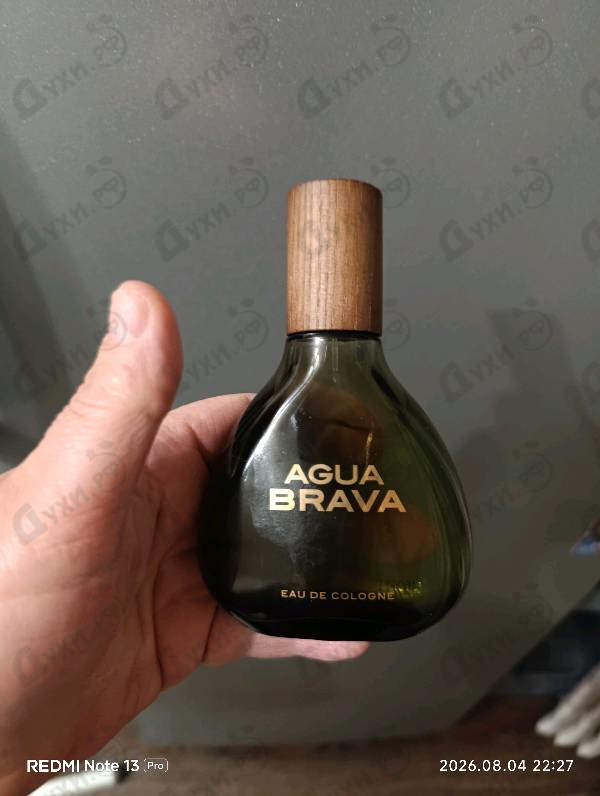 Купить Agua Brava от Antonio Puig