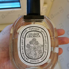 Отзывы Diptyque Geranium Odorata