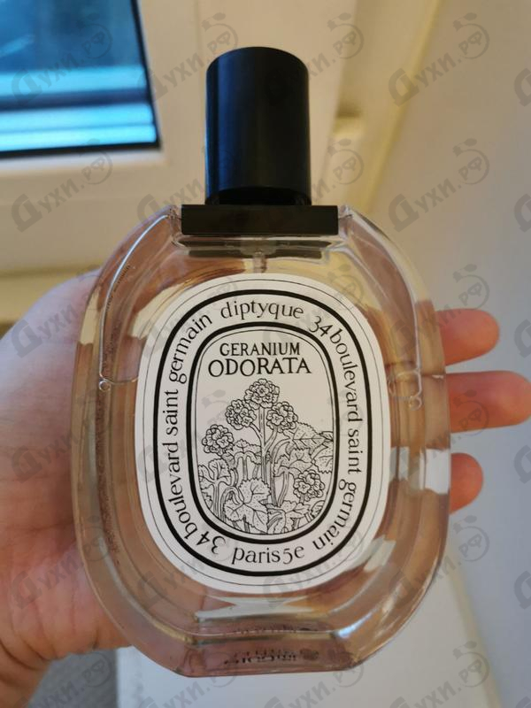 Парфюмерия Geranium Odorata от Diptyque