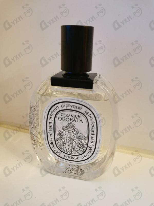 Купить Geranium Odorata от Diptyque