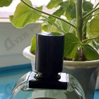 Отзыв Diptyque Geranium Odorata