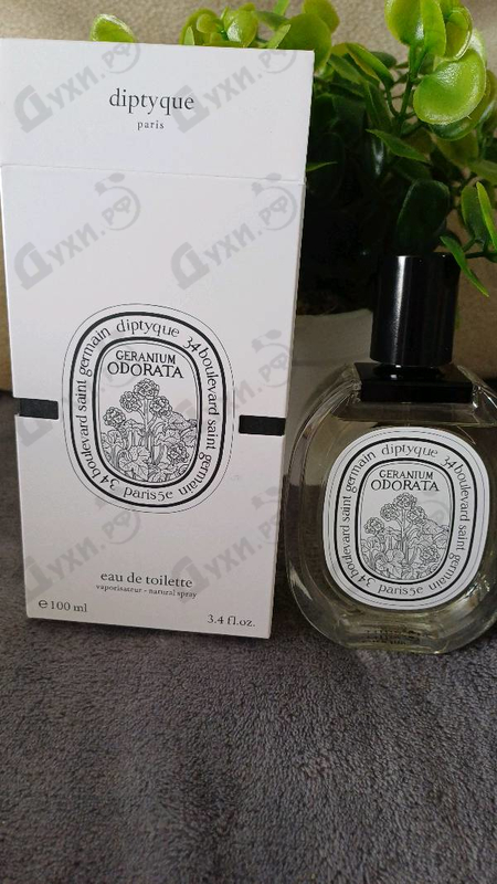 Парфюмерия Geranium Odorata от Diptyque