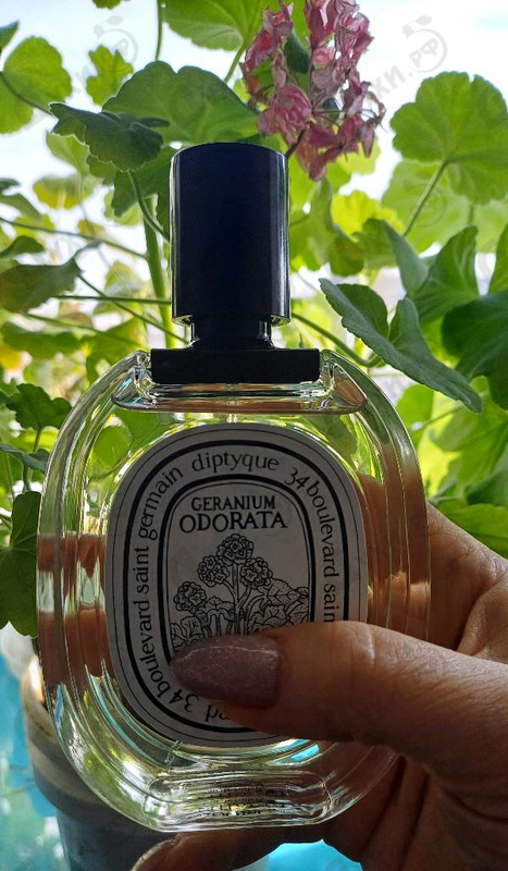 Отзыв Diptyque Geranium Odorata