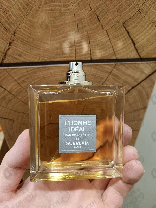 Отзыв Guerlain L'homme Ideal