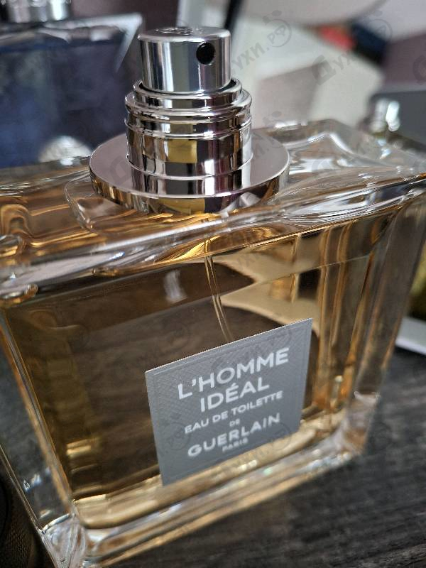 Парфюмерия Guerlain L'homme Ideal