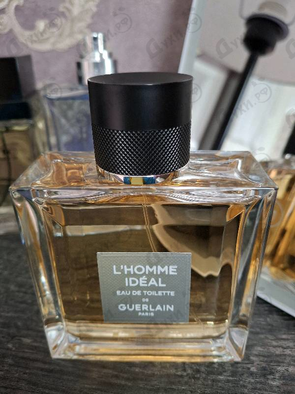 Купить Guerlain L'homme Ideal