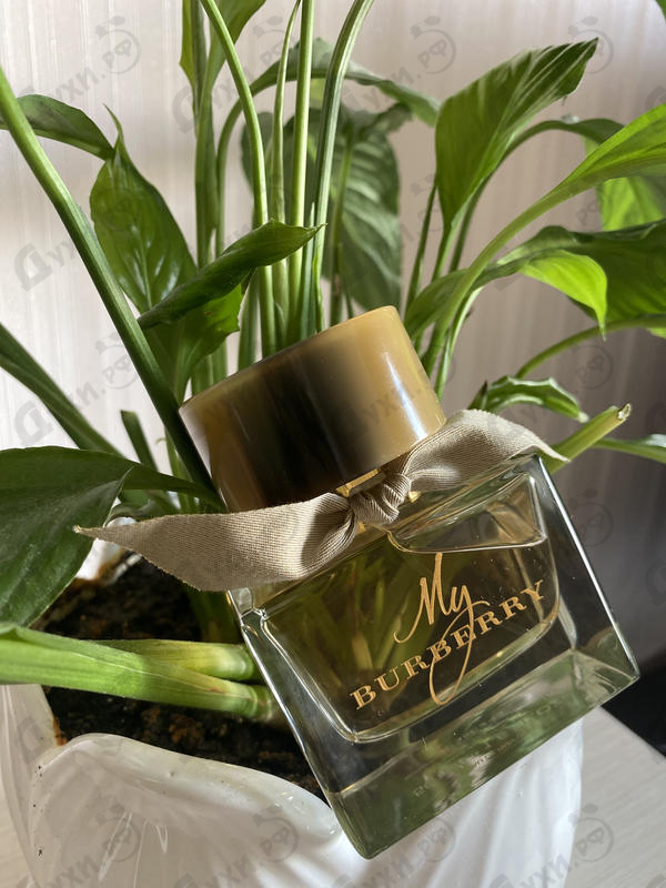 Парфюмерия My от Burberry