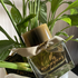 Духи Burberry My Парфюмерия My от Burberry