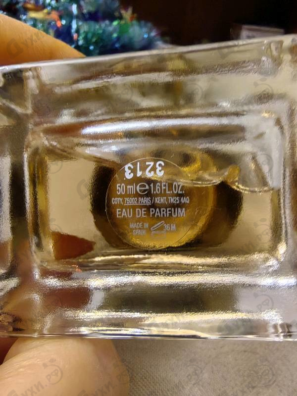Купить My от Burberry
