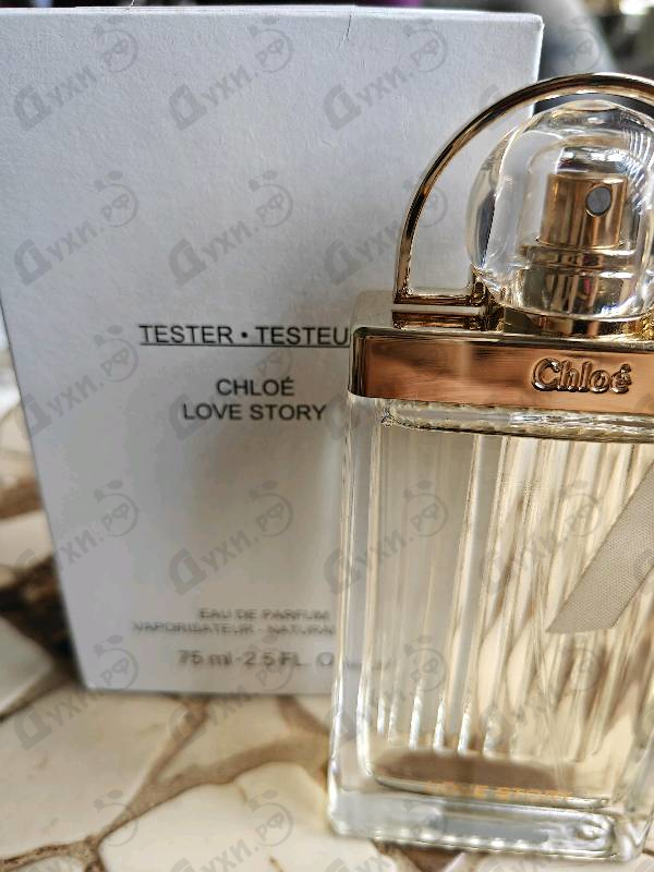 Отзывы Chloe Love Story