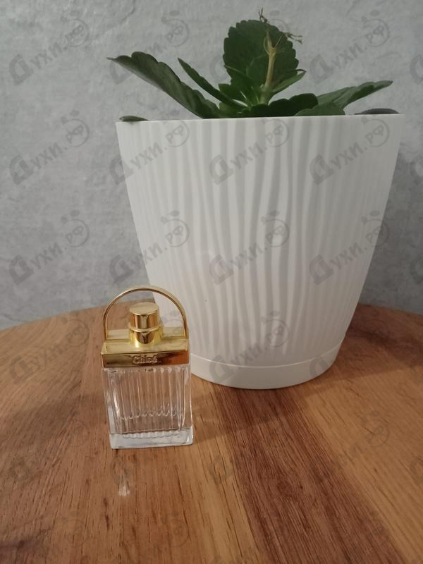 Отзывы Chloe Love Story