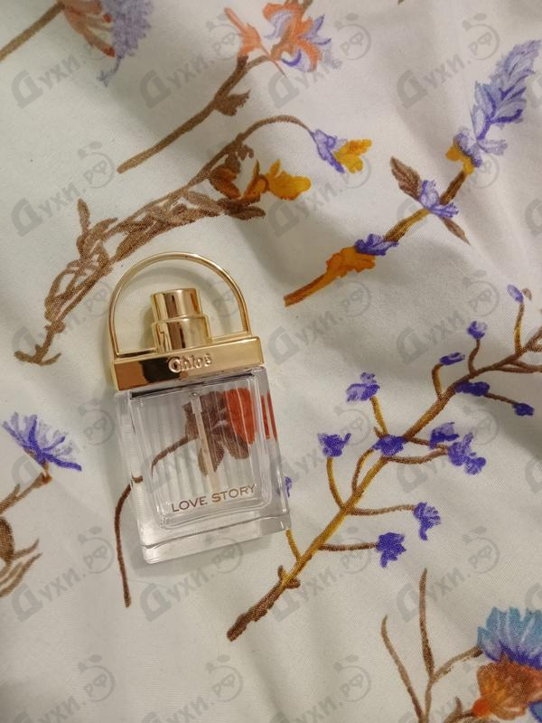 Отзыв Chloe Love Story