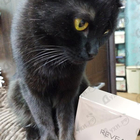 Отзыв Calvin Klein Reveal