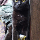 Парфюм Calvin Klein Reveal