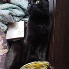 Духи Reveal от Calvin Klein