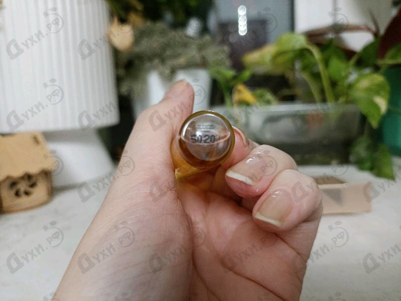 Купить Calvin Klein Reveal