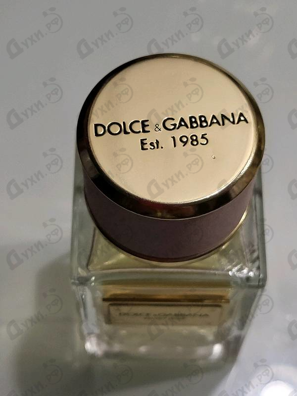 Духи Velvet Rose от Dolce & Gabbana