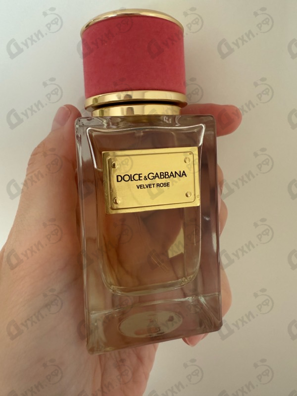 Духи Velvet Rose от Dolce & Gabbana