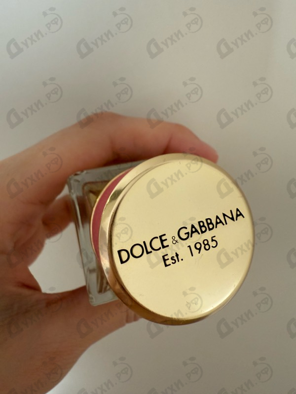 Купить Dolce & Gabbana Velvet Rose